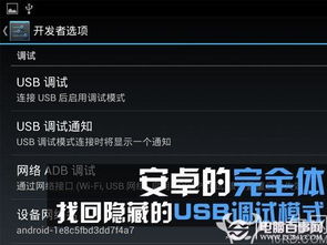 USB调试不见了怎么办？电脑图文设计找回隐藏的USB调试模式指南